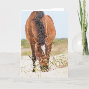 Wilde Mustangs oder Banker-Pferde Karte