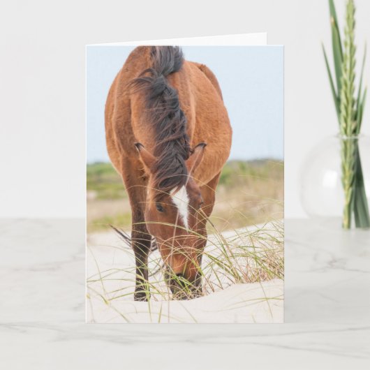 Wilde Mustangs oder Banker-Pferde Karte (Vorderseite)