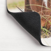 Wilde Mustangs oder Banker-Pferde Mousepad (Ecke)