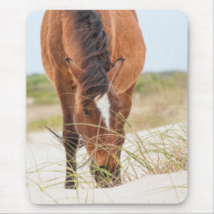 Wilde Mustangs oder Banker-Pferde Mousepad