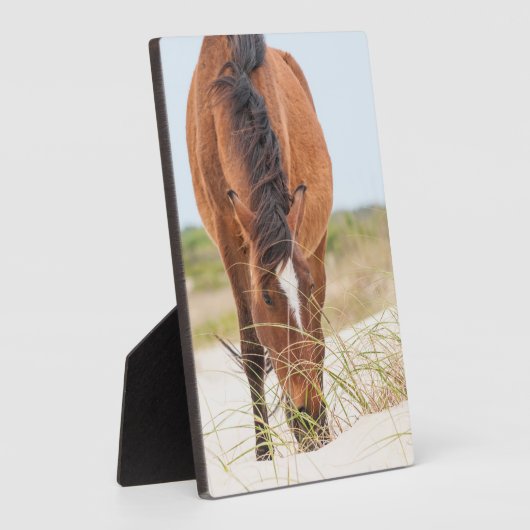 Wilde Mustangs oder Bankerpferde Fotoplatte (Seite)