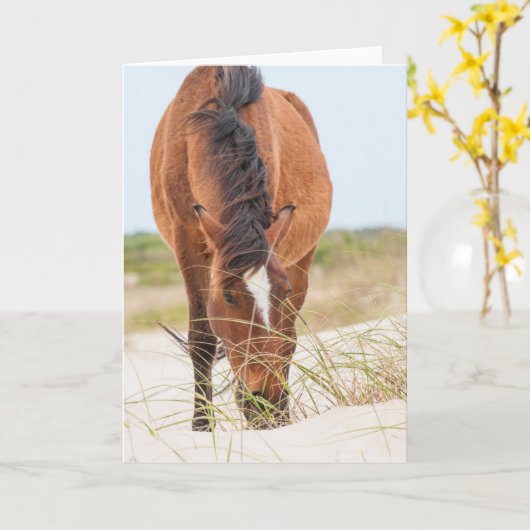 Wilde Mustangs oder Bankerpferde Karte (Gelbe Blume)