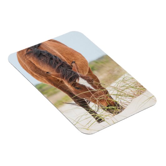 Wilde Mustangs oder Bankerpferde Magnet (Rechte Seite)