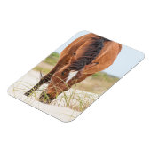 Wilde Mustangs oder Bankerpferde Magnet (Linke Seite)