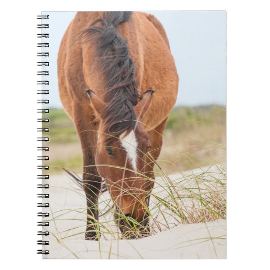 Wilde Mustangs oder Bankerpferde Notizblock (Vorderseite)