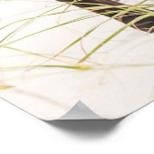 Wilde Mustangs oder Bankerpferde Poster (Ecke)