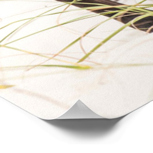 Wilde Mustangs oder Bankerpferde Poster (Ecke)