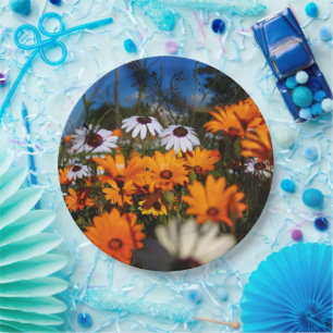 Wilde Namaqualand-Blume Pappteller