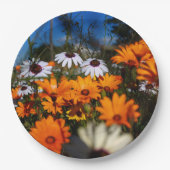 Wilde Namaqualand-Blume Pappteller (Vorderseite)