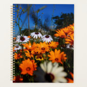 Wilde Namaqualand-Blume Planer (Vorderseite)