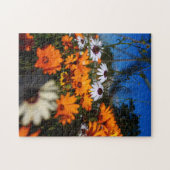 Wilde Namaqualand-Blume Puzzle (Horizontal)