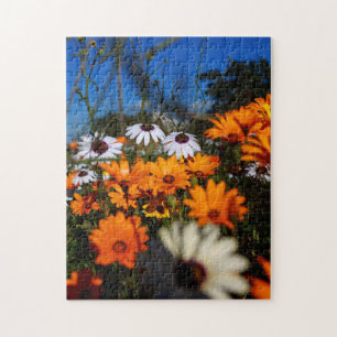 Wilde Namaqualand-Blume Puzzle