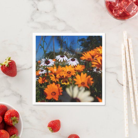 Wilde Namaqualand-Blume Serviette (Beispiel)