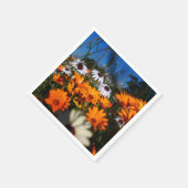 Wilde Namaqualand-Blume Serviette (Ecke)