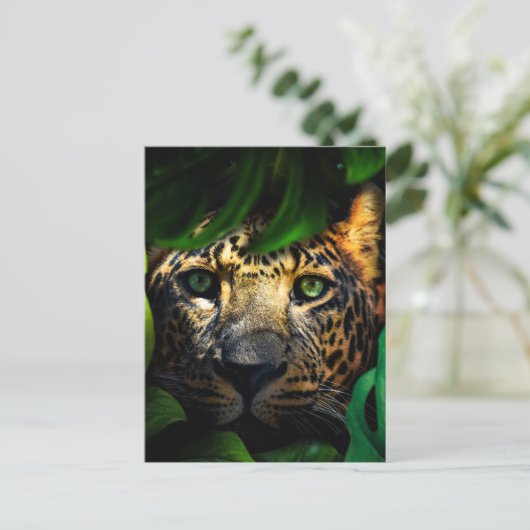 Wilde Neugier: Jaguar Lurking im Dschungel Postkarte (Stehend Vorderseite)