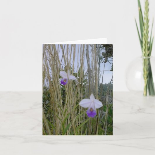 Wilde Orchid-Notecards, Big Island, Hawaii Karte (Vorderseite)