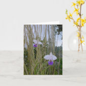 Wilde Orchid-Notecards, Big Island, Hawaii Karte (Gelbe Blume)