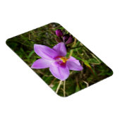 Wilde Orchidee Lila Tropenblume Magnet (Rechte Seite)
