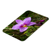 Wilde Orchidee Lila Tropenblume Magnet (Linke Seite)