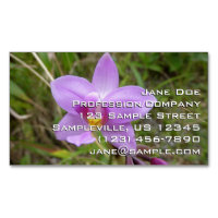 Wilde Orchidee Lila Tropische Blume
