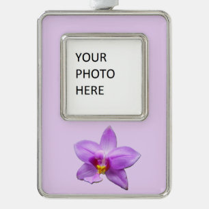 Wilde Orchidee Lila Tropische Blume Rahmen-Ornament Silber