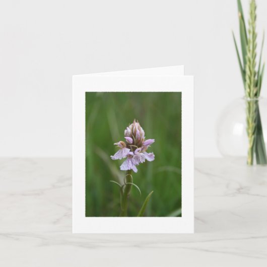 Wilde Orchidee Notecard Karte (Vorderseite)