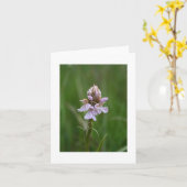 Wilde Orchidee Notecard Karte (Gelbe Blume)