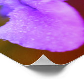 Wilde Orchideenblüte Poster (Ecke)