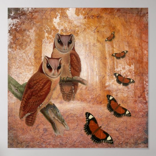 Wilde Owls und Schmetterlinge Poster (Vorne)
