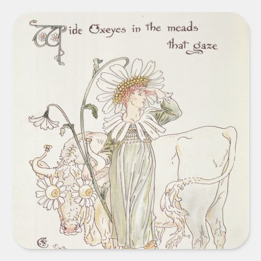 Wilde Oxeyes in Meads that Gaze Quadratischer Aufkleber (Vorderseite)