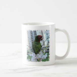 Wilde Papageien von Telegraph Hill Kaffeetasse