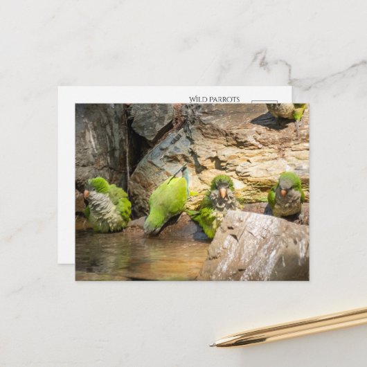 Wilde Parrots Badegewässer in Spanien Postkarte (Vorderseite/Rückseite Beispiel)