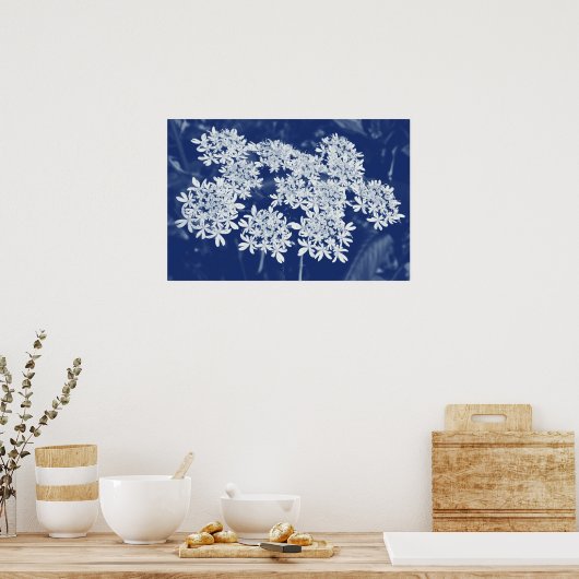 Wilde Parsley - Cyanotypeneffekt Poster (Küche)
