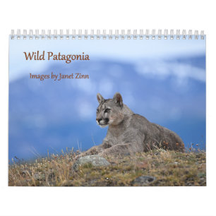 Wilde Patagonien: Pumas und Wildtiere Kalender