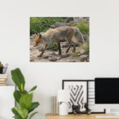 Wilde Pause: Fuchs im Morgenlicht Poster (Heimbüro)