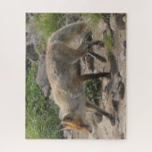 Wilde Pause: Fuchs im Morgenlicht Puzzle (Vertikal)