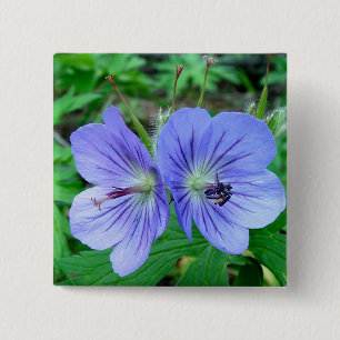 Wilde Pelargonie Button