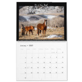 Wilde Pferde 2023 Kalender (Jan 2027)