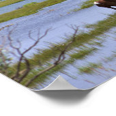 Wilde Pferde aus Assateague Poster (Ecke)