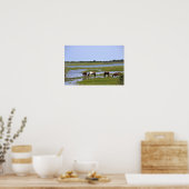Wilde Pferde aus Assateague Poster (Küche)