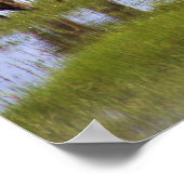 Wilde Pferde aus Assateague Poster (Ecke)
