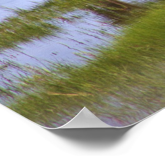 Wilde Pferde aus Assateague Poster (Ecke)