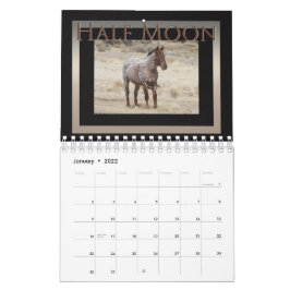 Wilde Pferde aus dem Sandwaschbecken, Colorado Kalender