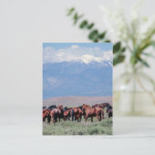 Wilde Pferde aus dem Westen Postkarte (Stehend Vorderseite)