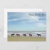 Wilde Pferde Außenbanks OBX Corolla NC Postkarte (Vorne/Hinten)