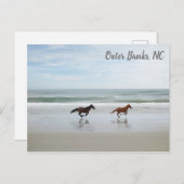 Wilde Pferde Außenbanks OBX Corolla NC Postkarte (Vorne/Hinten)