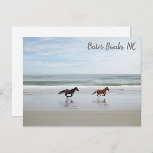 Wilde Pferde Außenbanks OBX Corolla NC Postkarte (Vorne/Hinten)