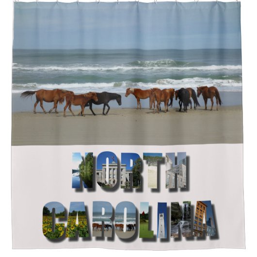 Wilde Pferde Außenbanks OBX North Carolina Duschvorhang (Vorderseite)