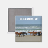 Wilde Pferde Außenbanks OBX North Carolina Magnet (Vorderseite/Rückseite)