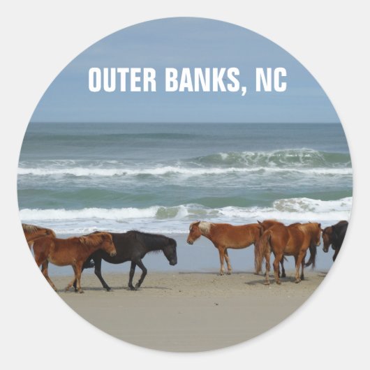 Wilde Pferde Außenbanks OBX North Carolina Runder Aufkleber (Vorderseite)